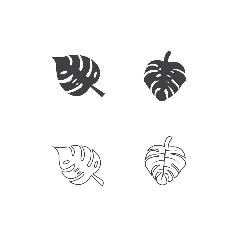 monstera leaf icon. vector