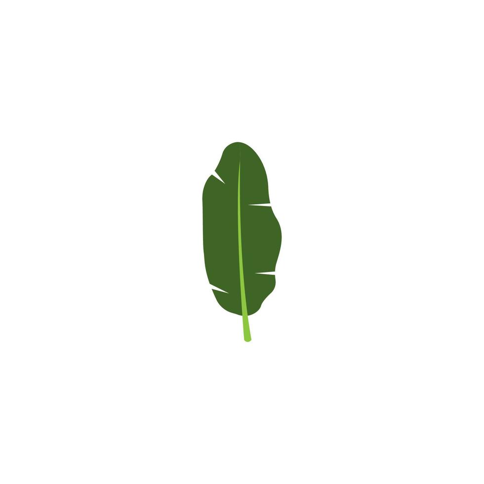 icono de hoja de plátano vector