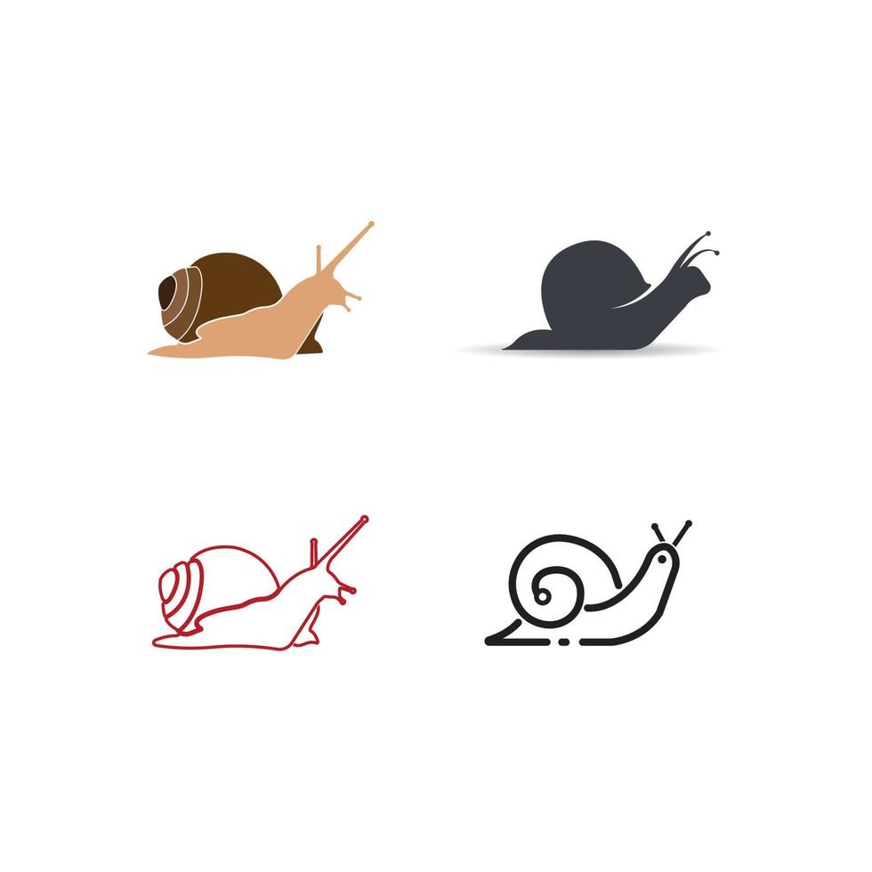 Snail icon vector illustration template design