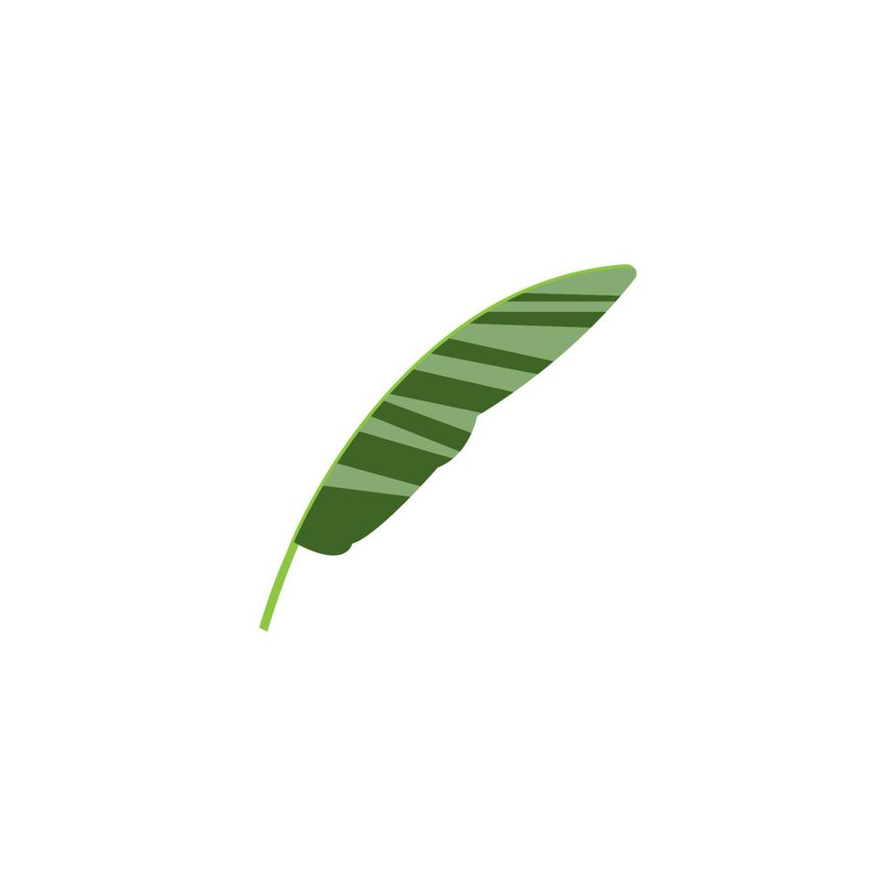Banana leaf icon vector