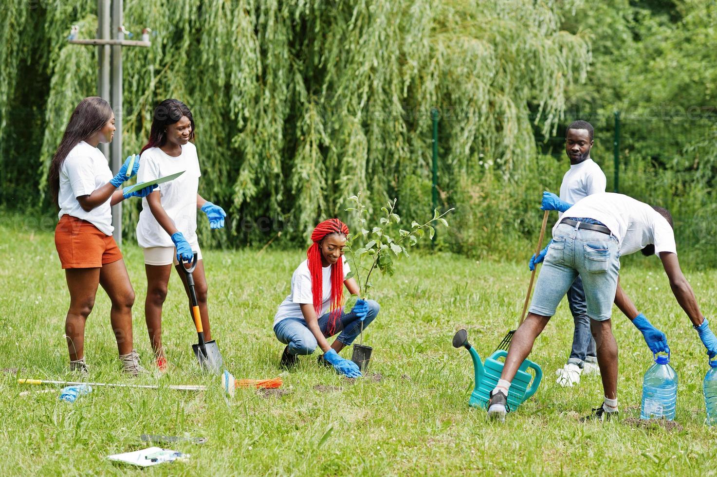 Group of happy african volunteers planting tree in park. Africa volunteering, charity, people and ecology concept. photo