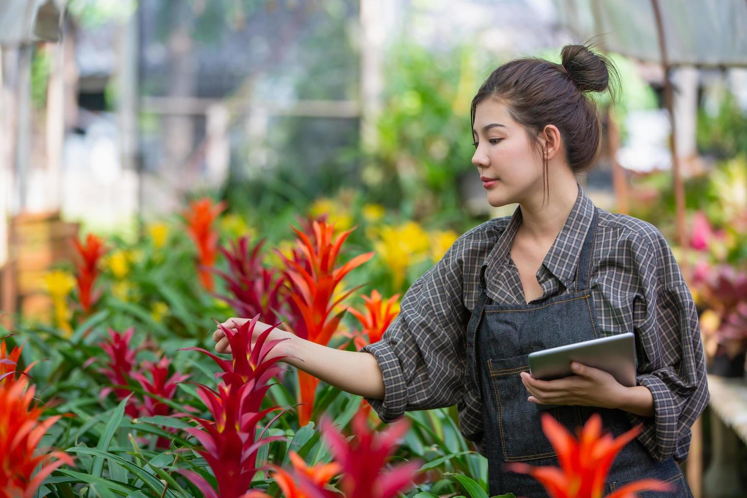Modern technologies for farmers and growing flowers. Beautiful girl  asia with tablet in hands  near flowers in greenhouse. Plant studies and research photo