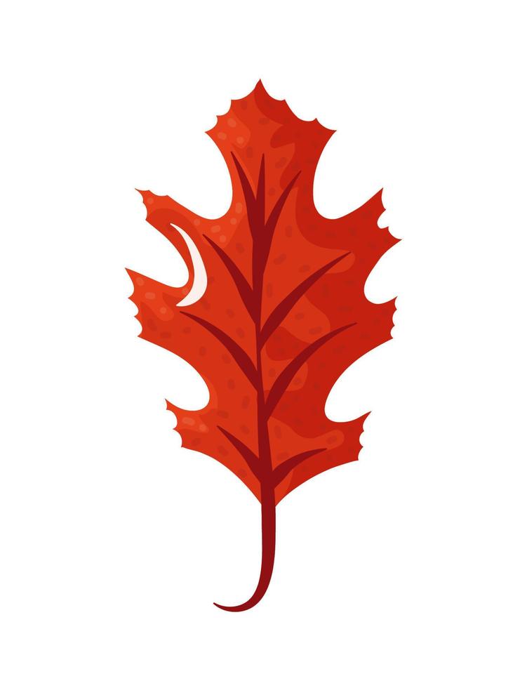 autumn leaf flat icon vector