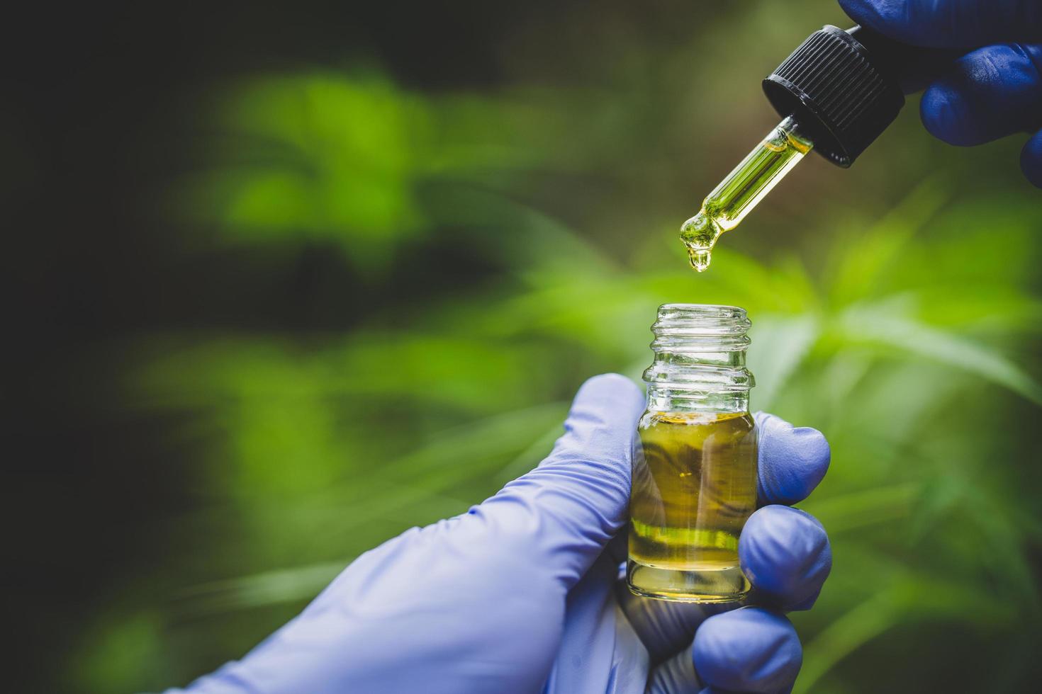 Hand holding bottle of Cannabis oil in pipette, Hemp oil, medical marijuana concept, CBD cannabis OIL. hemp product. photo