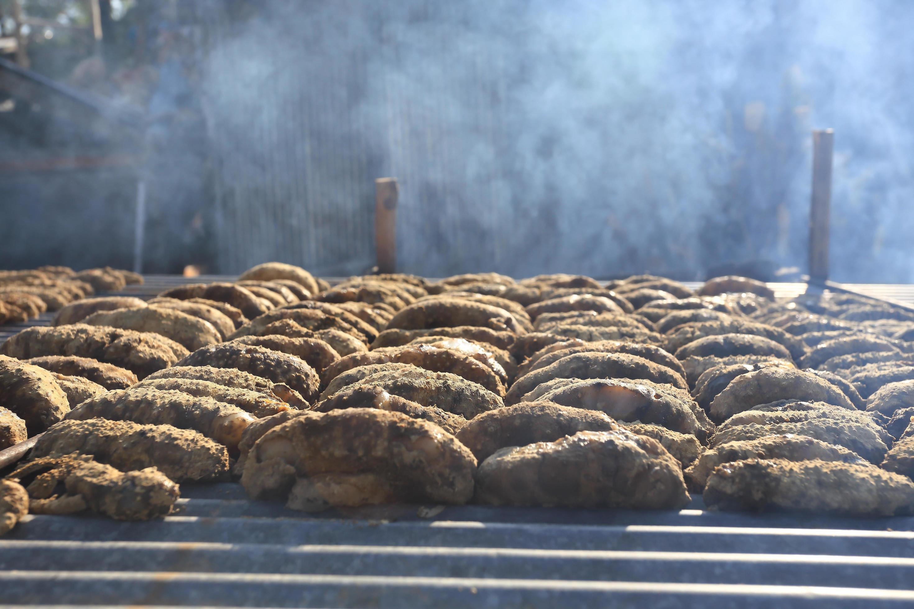 Drying Sea Cucumber Outdoor 10419096 Stock Photo at Vecteezy