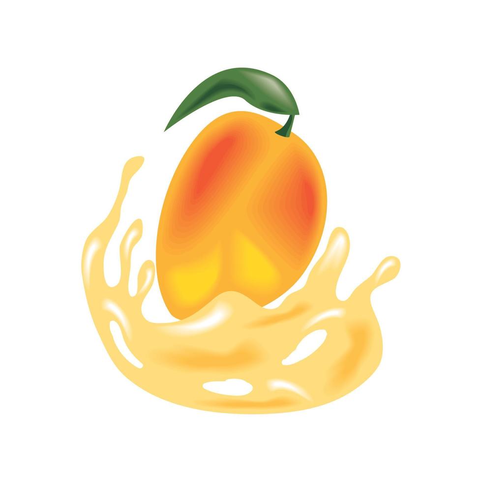 salpicaduras de mango fresco vector