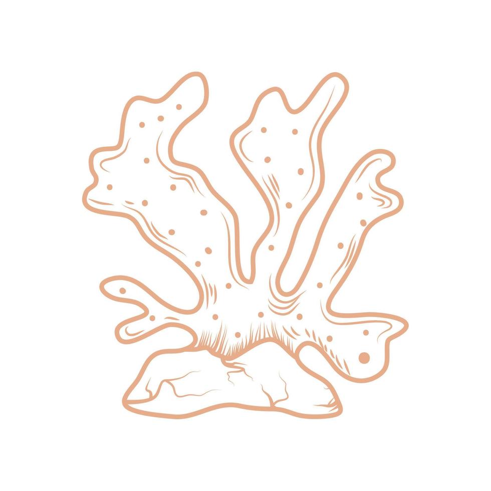 coral vector icon