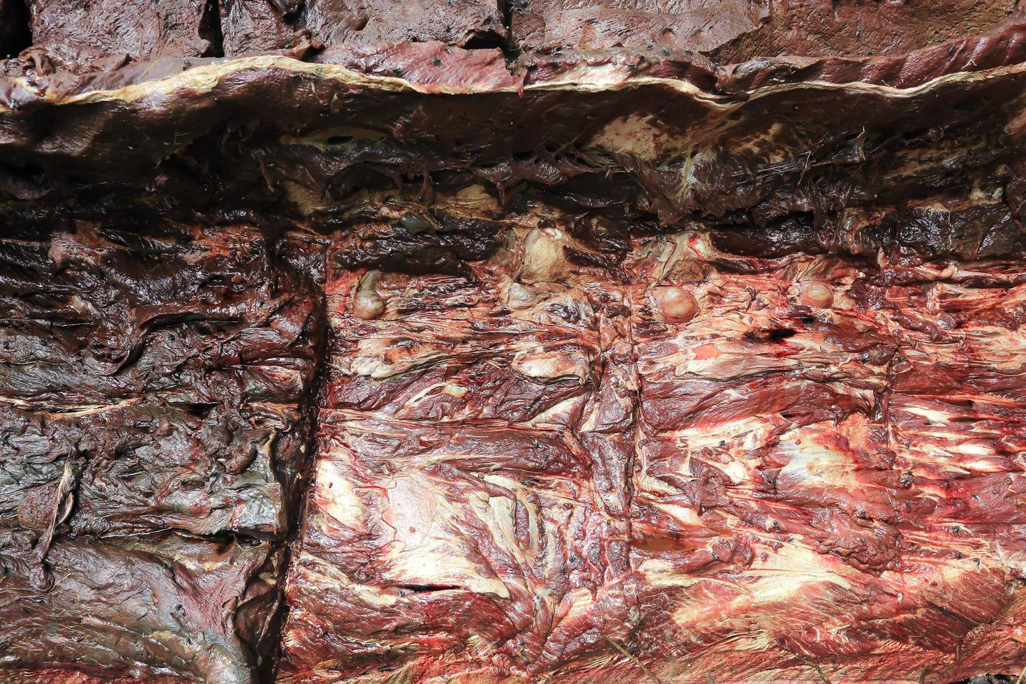 Cutting whale carcass photo