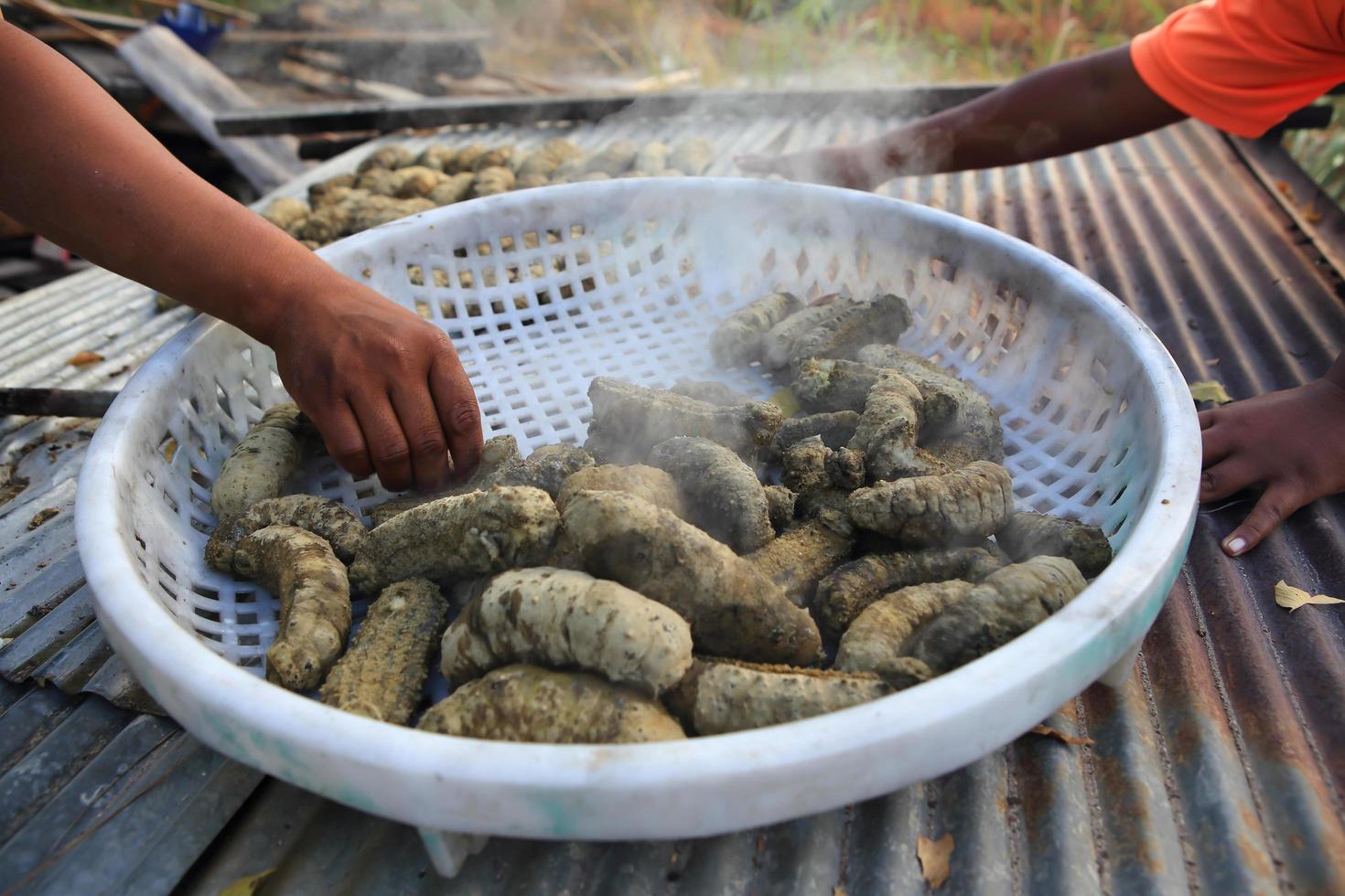 Drying Sea Cucumber Outdoor 10419785 Stock Photo at Vecteezy