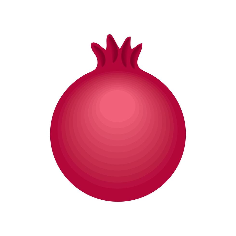 pomegranate fruit icon vector