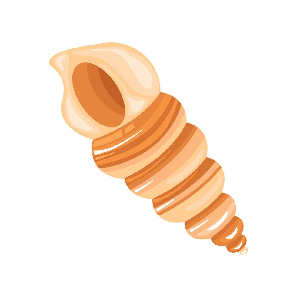 sea shell spiral vector