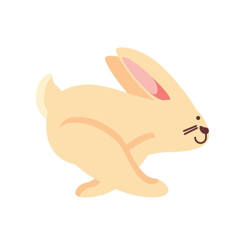 running rabbit icon vector