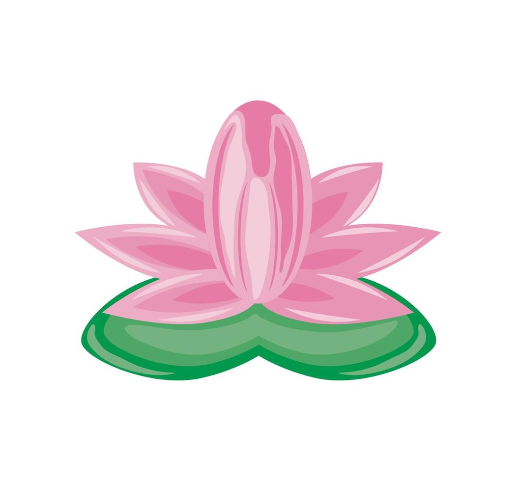 lotus flower and leaf vector