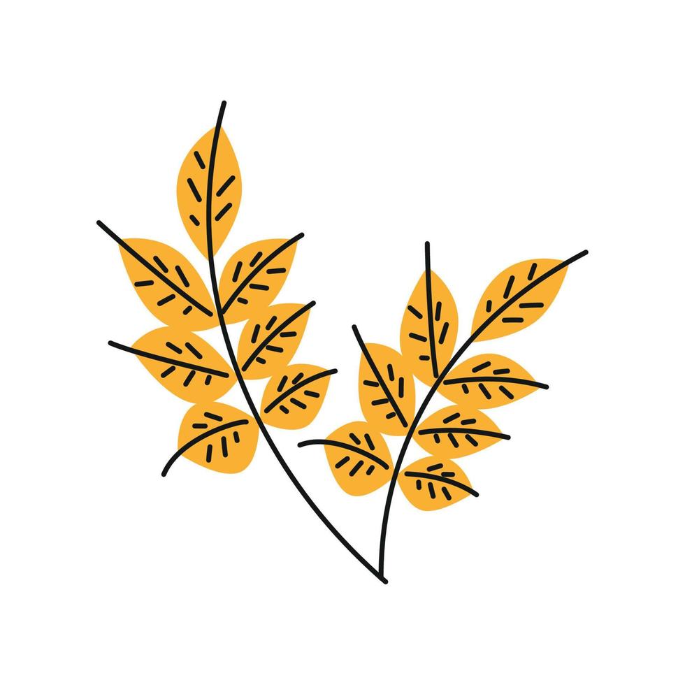 wheat branches icon vector