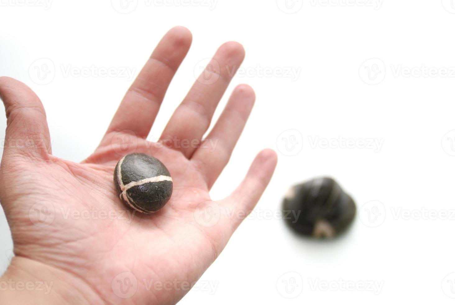 .zen stones in palm photo