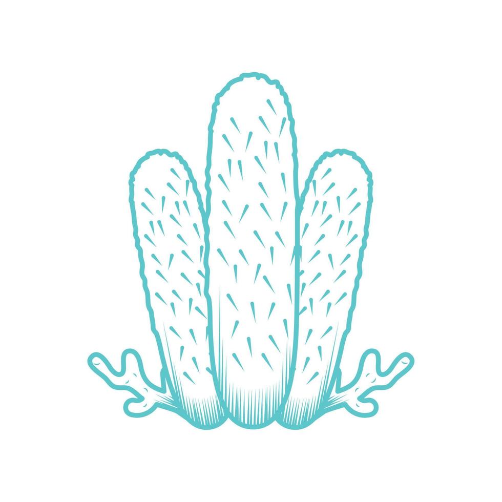 coral sea life vector