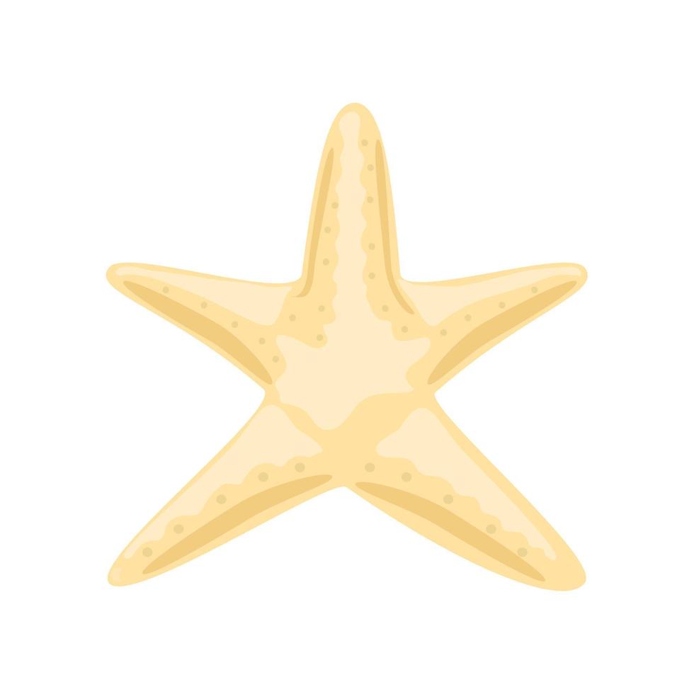 pez estrella de mar vector