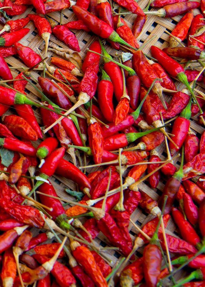 dried red pepper photo
