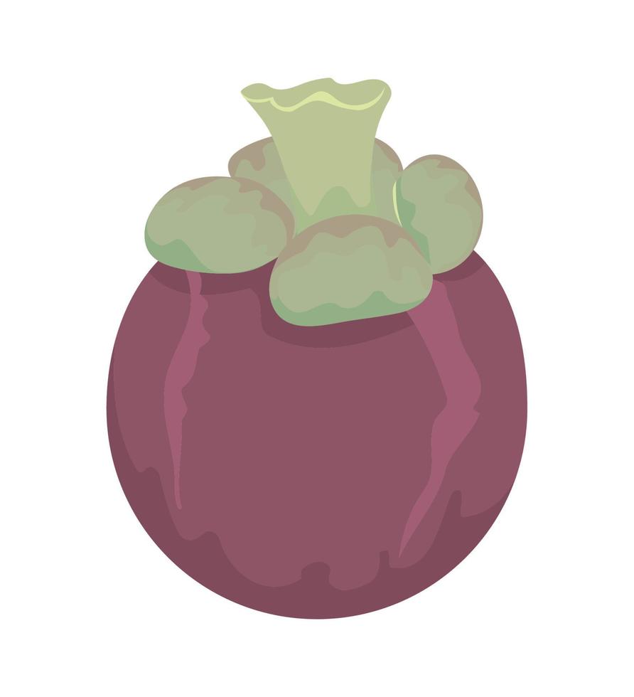 icono de mangostán de fruta vector