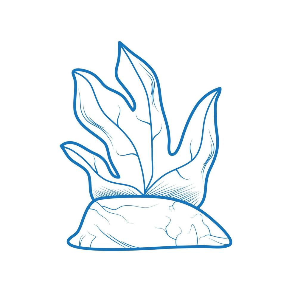 coral and seaweed vector