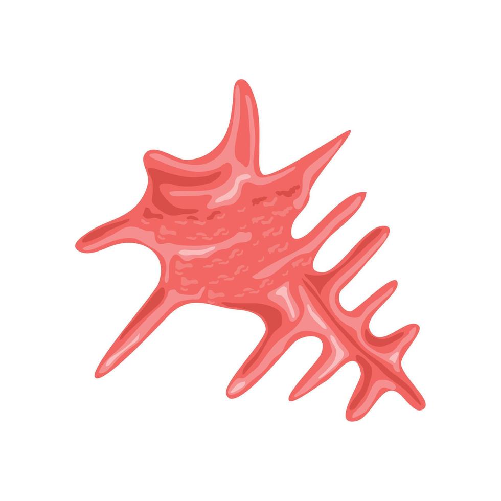 sea shell on white background vector
