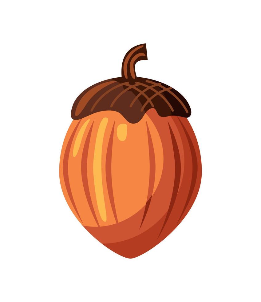 acorn isolated icon vector