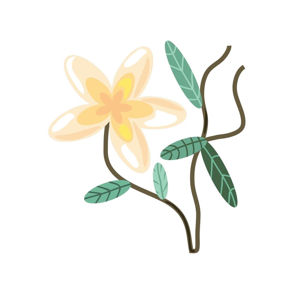 delicate flower and leaf vector