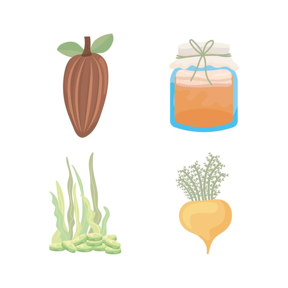 set of superfoods vector