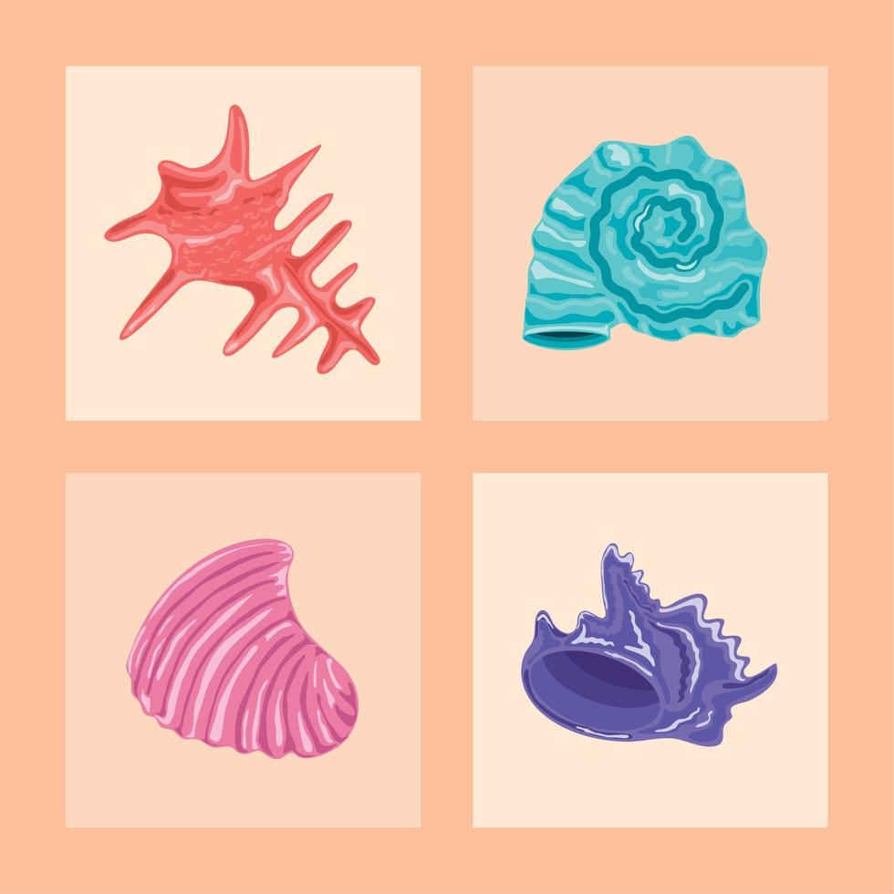 iconos de conchas marinas vector