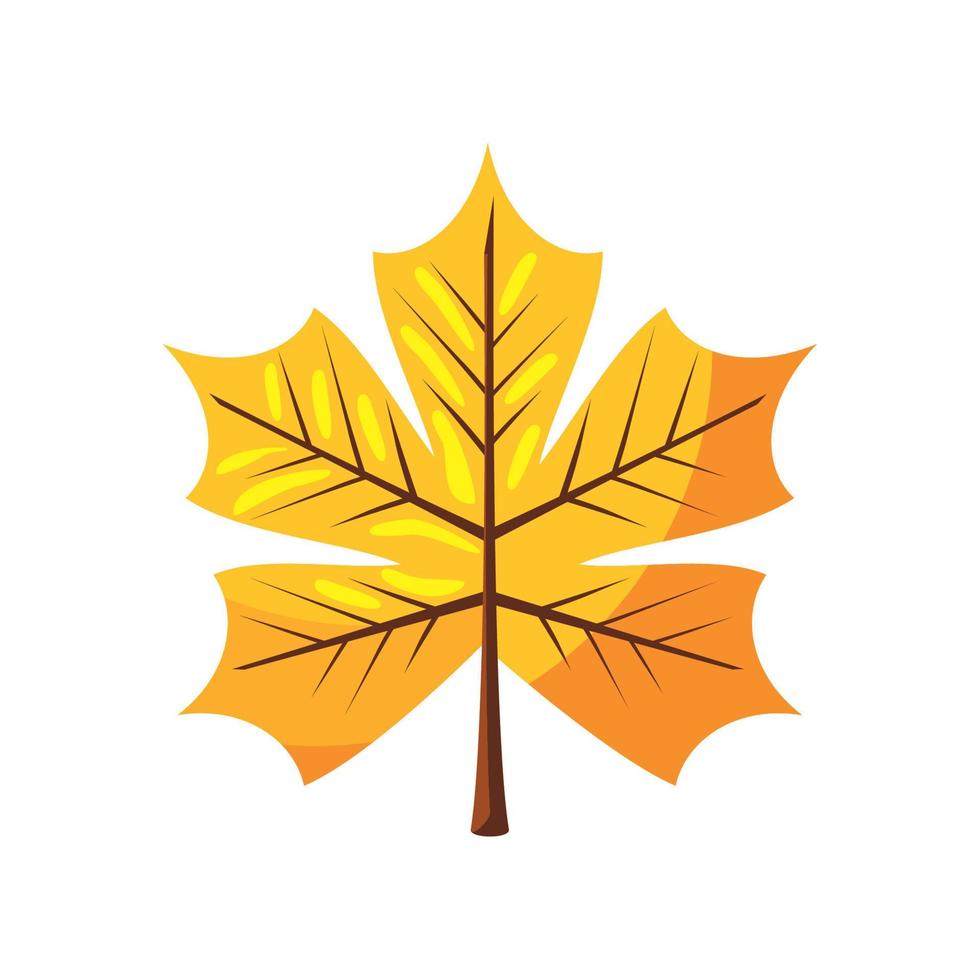 maple leaf icon vector