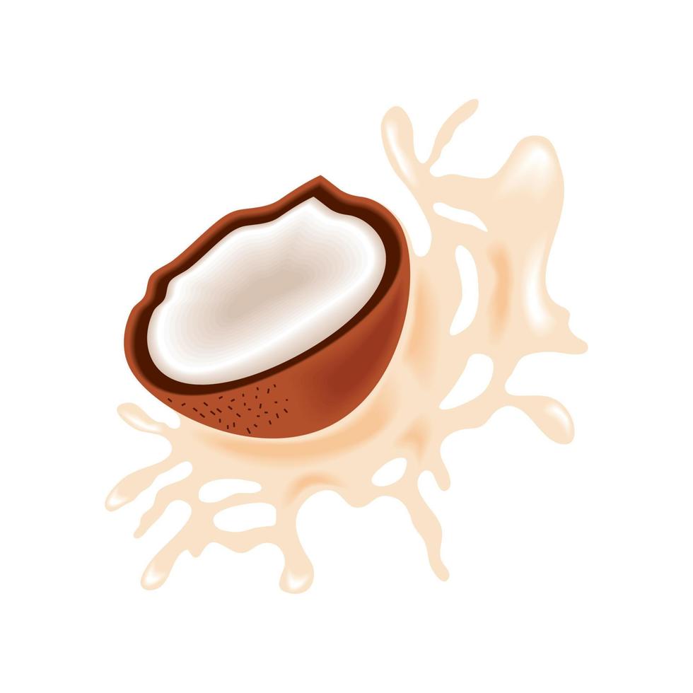 coconut fresh splash vector