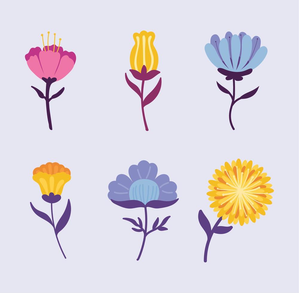 set beauty flowers vector