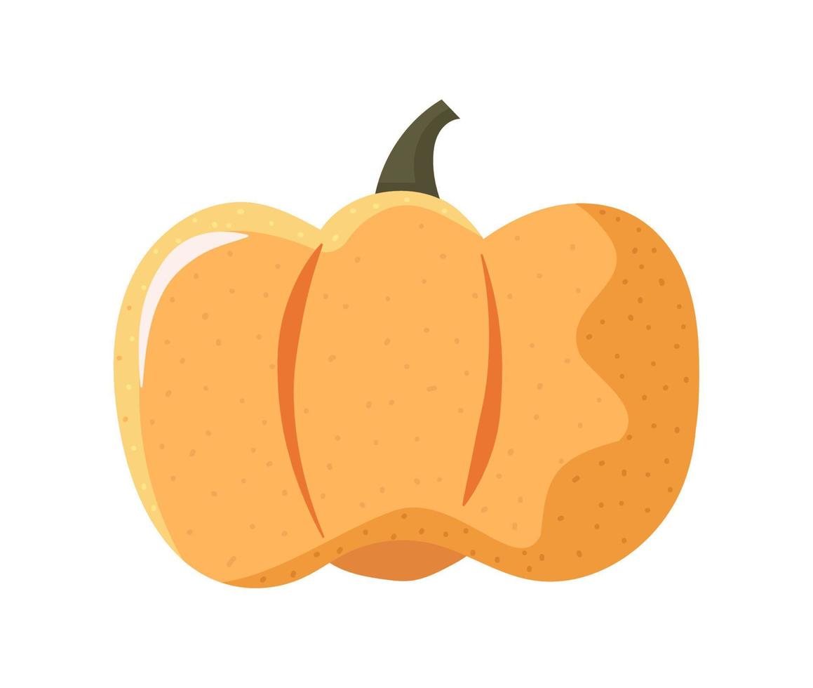 pumpkin food icon vector