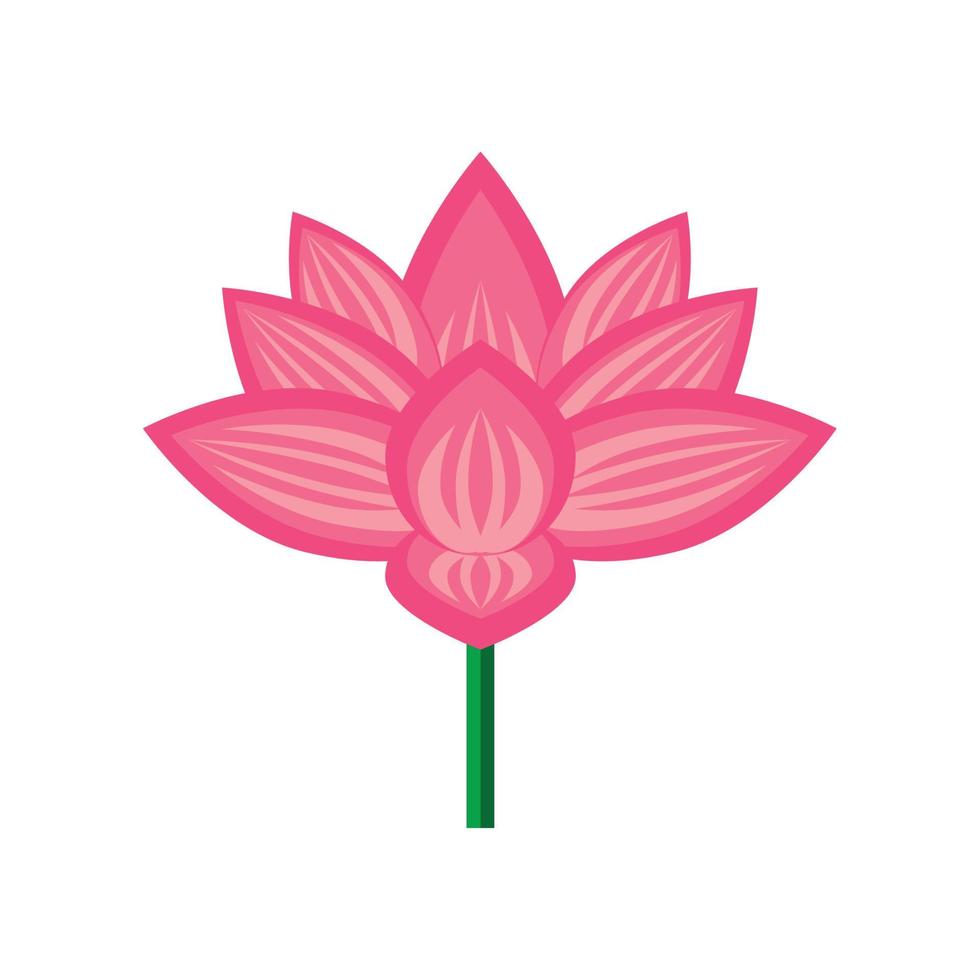 flower lotus nature vector