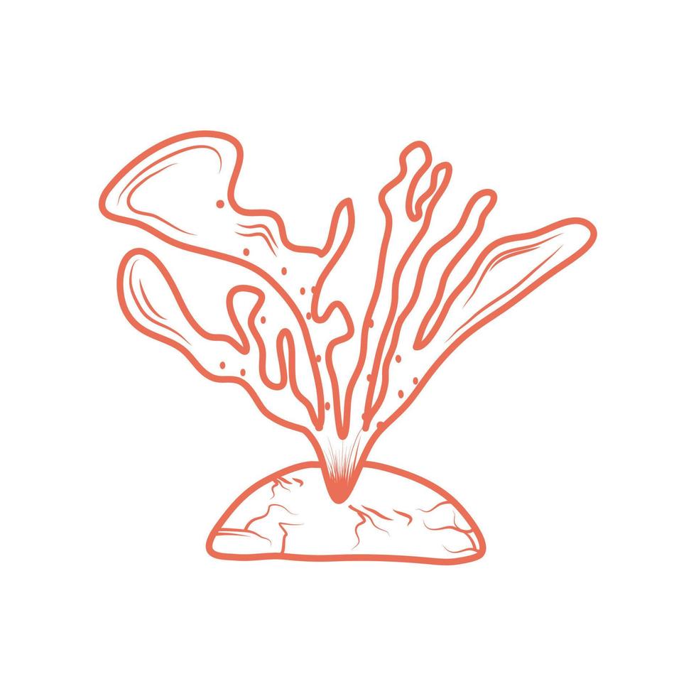 tropical coral icon vector