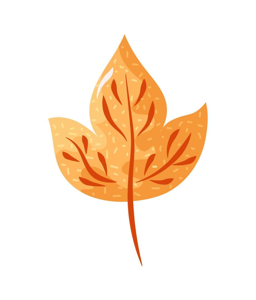 autumn dry leaf vector