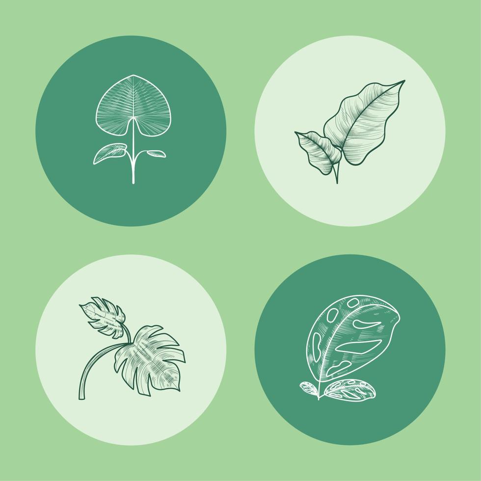 icons botanical plants vector