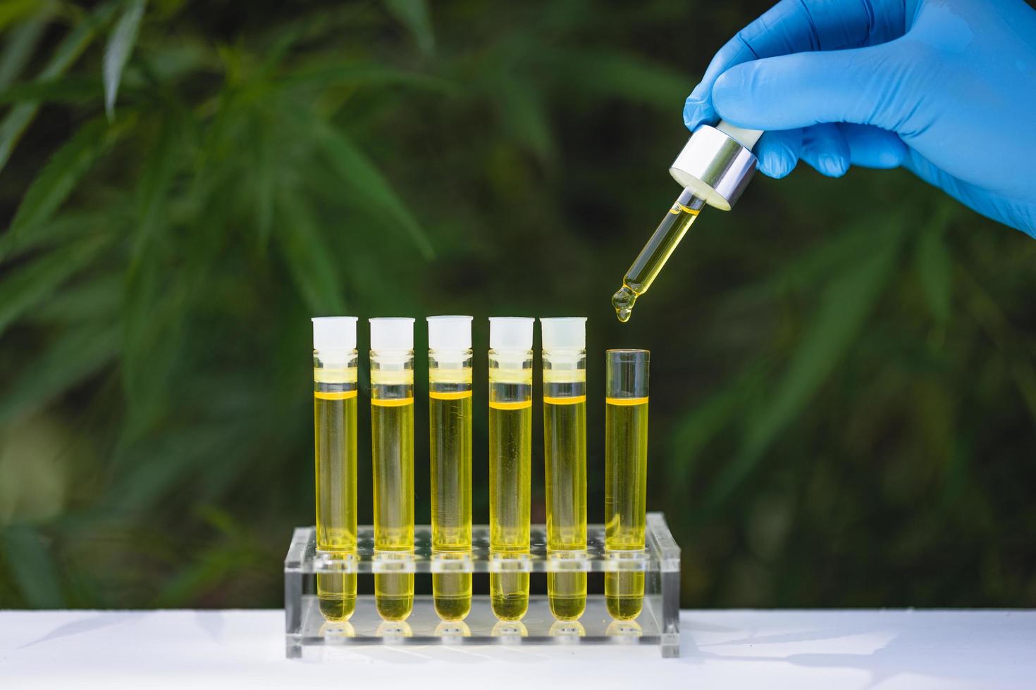 Researcher holding  a dropper with hemp oil product. CBD cannabis oil. medical marijuana concept. photo