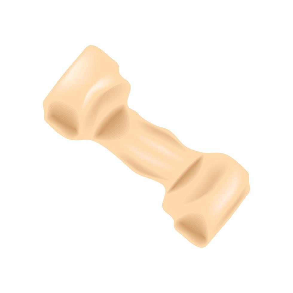 pet bone toy vector