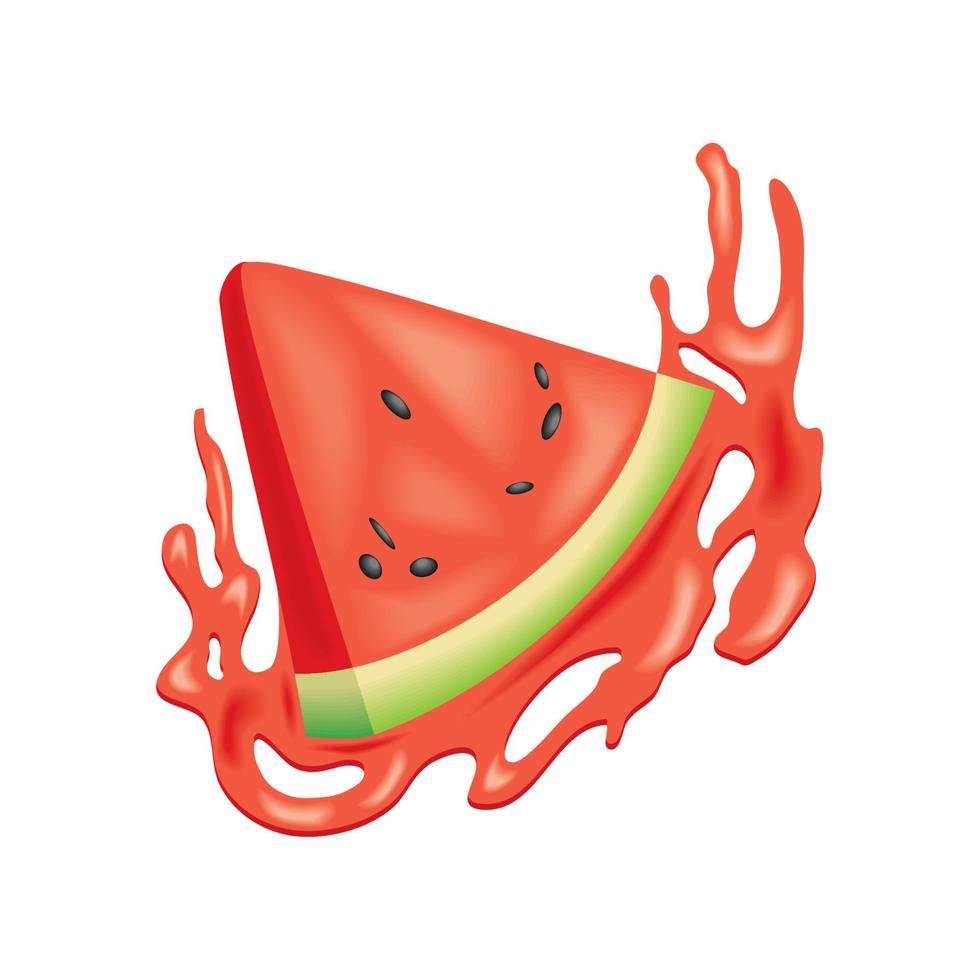 watermelon fresh splash vector