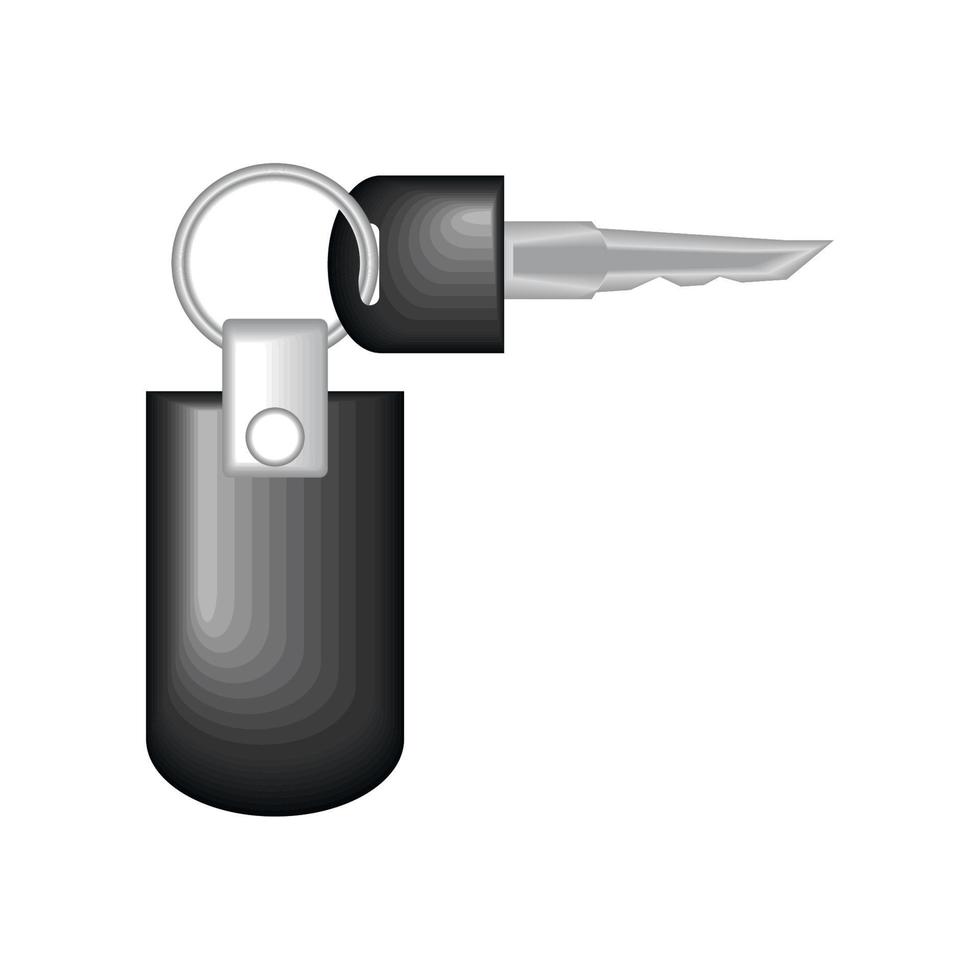 key with keychain vector