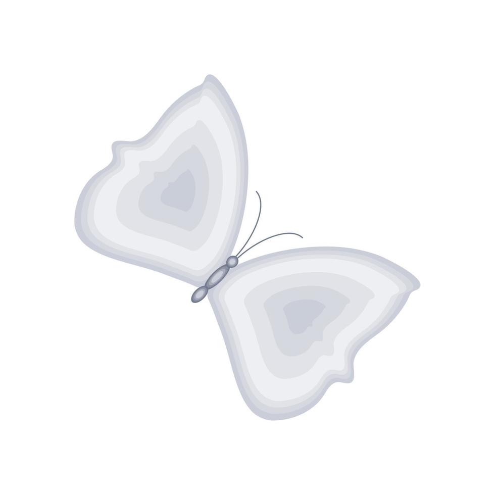linda mariposa blanca vector