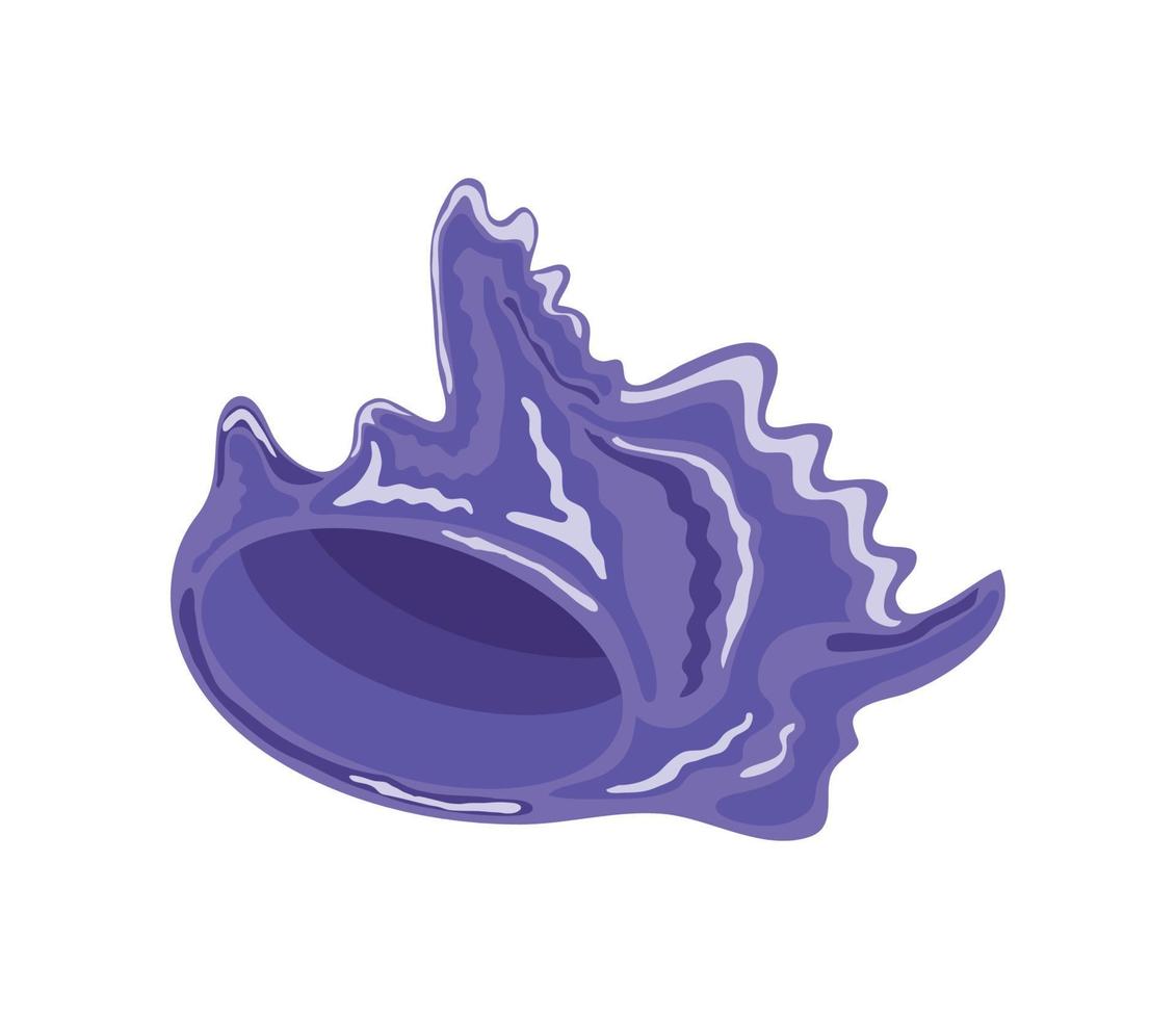 purple sea shell vector