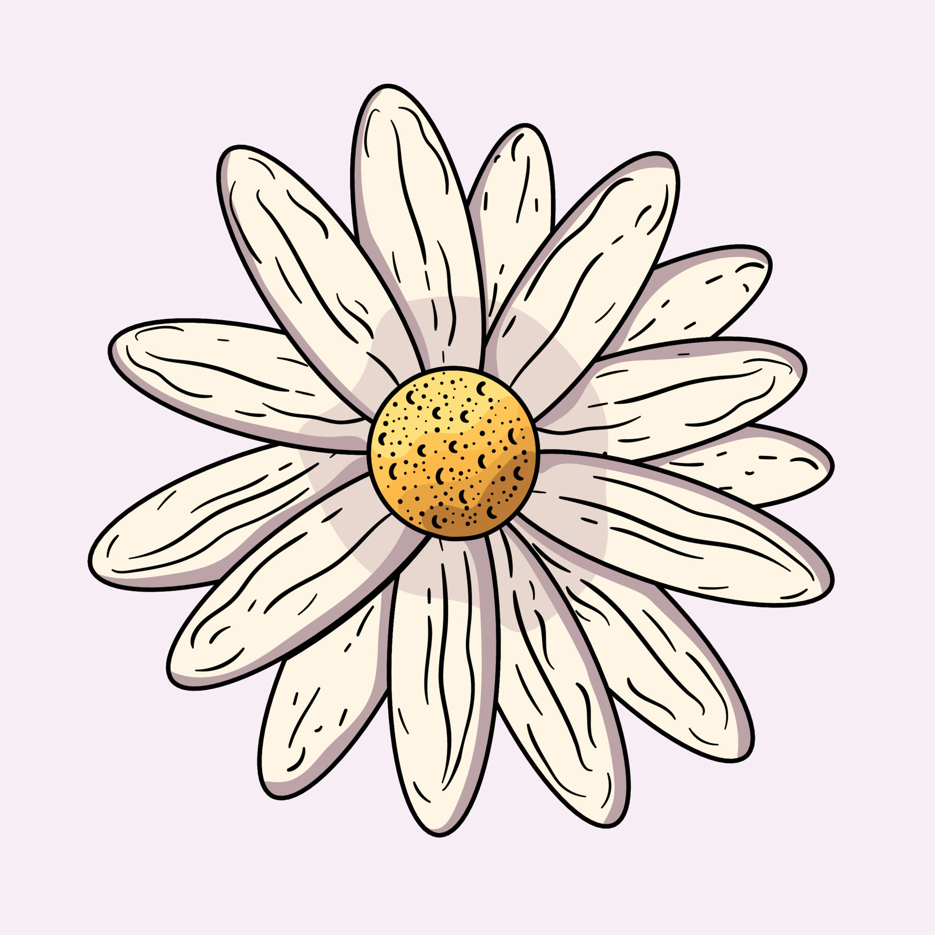 How To Draw Daisy Flower  Daisy Flower Drawing PNG Image  Transparent PNG  Free Download on SeekPNG