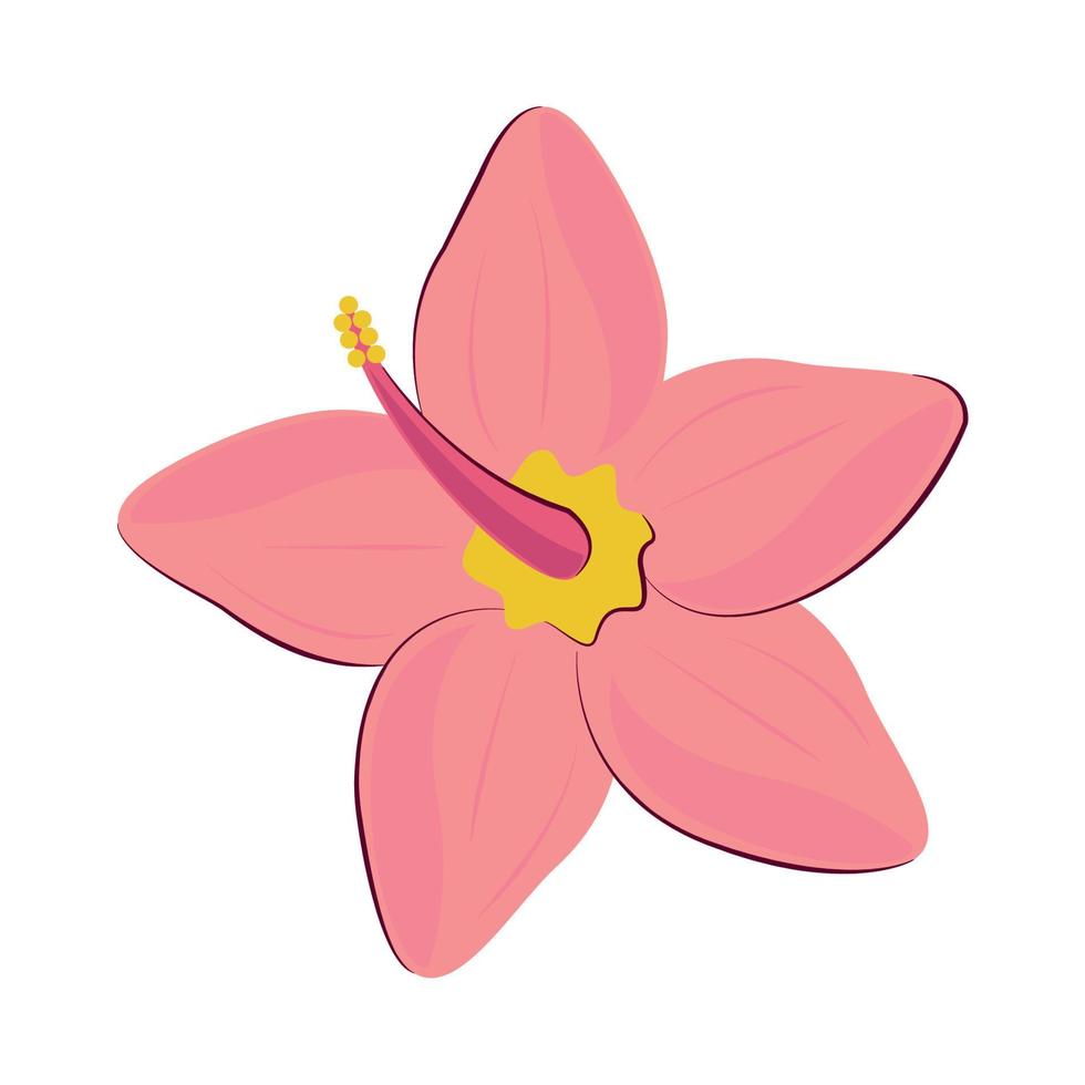 flower hibiscus tropical vector