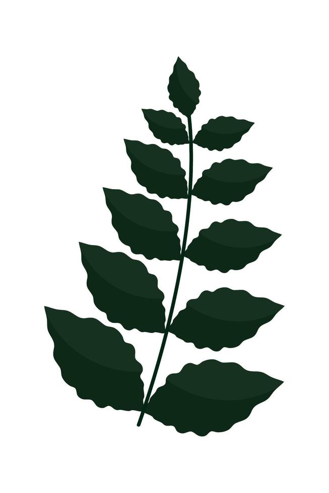 natural leaves foliage vector