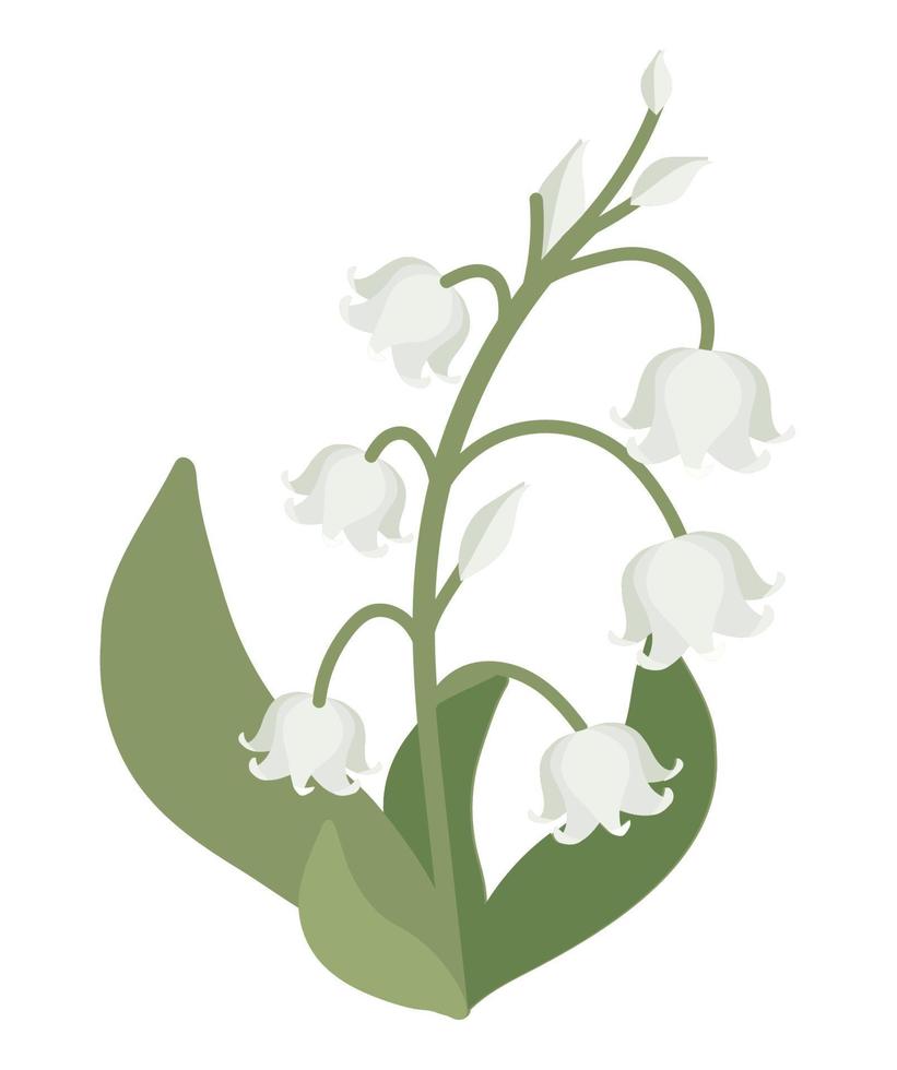 white flowers and leaves vector