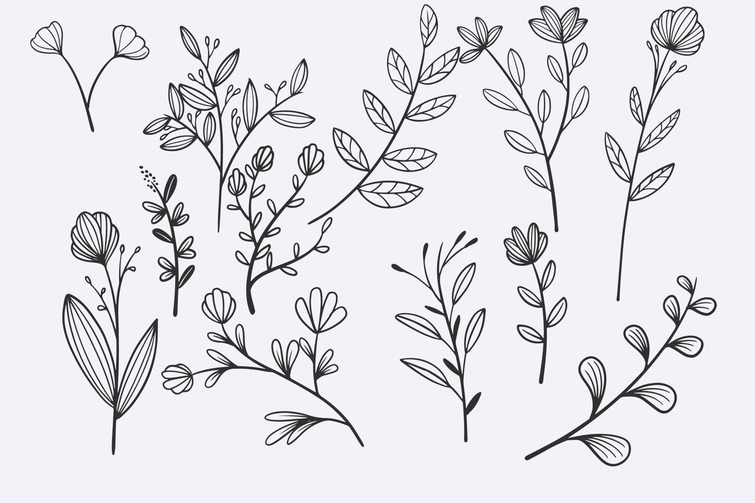 flower leaves doodle hand drawn vector illustration set