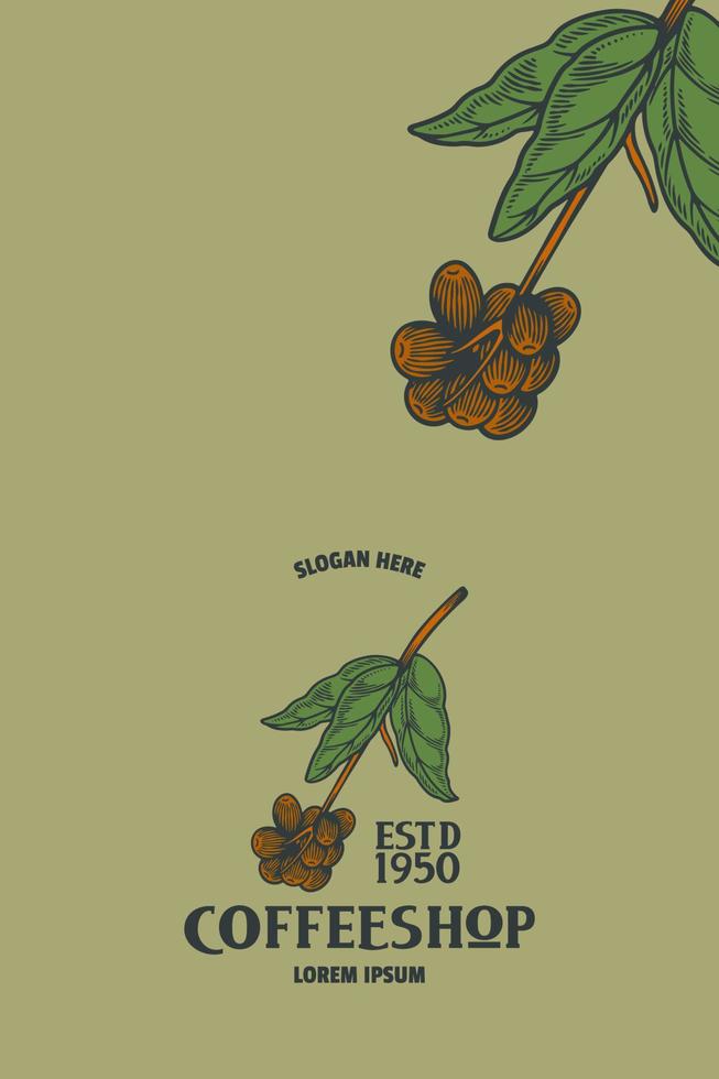coffee bean vector illustration