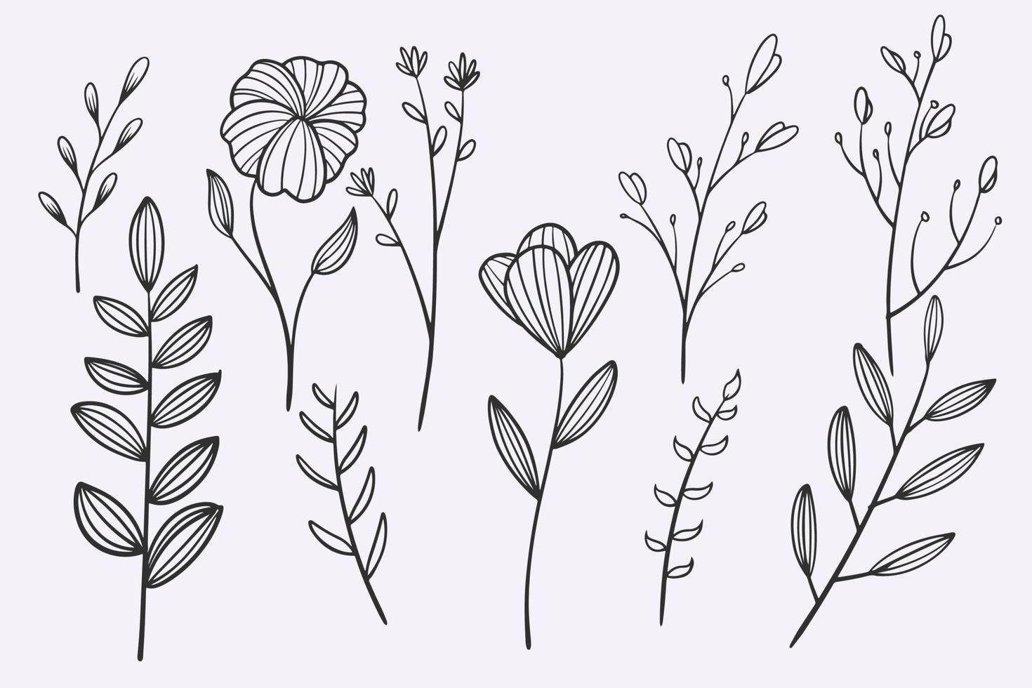 flor hojas doodle dibujado a mano vector ilustración conjunto